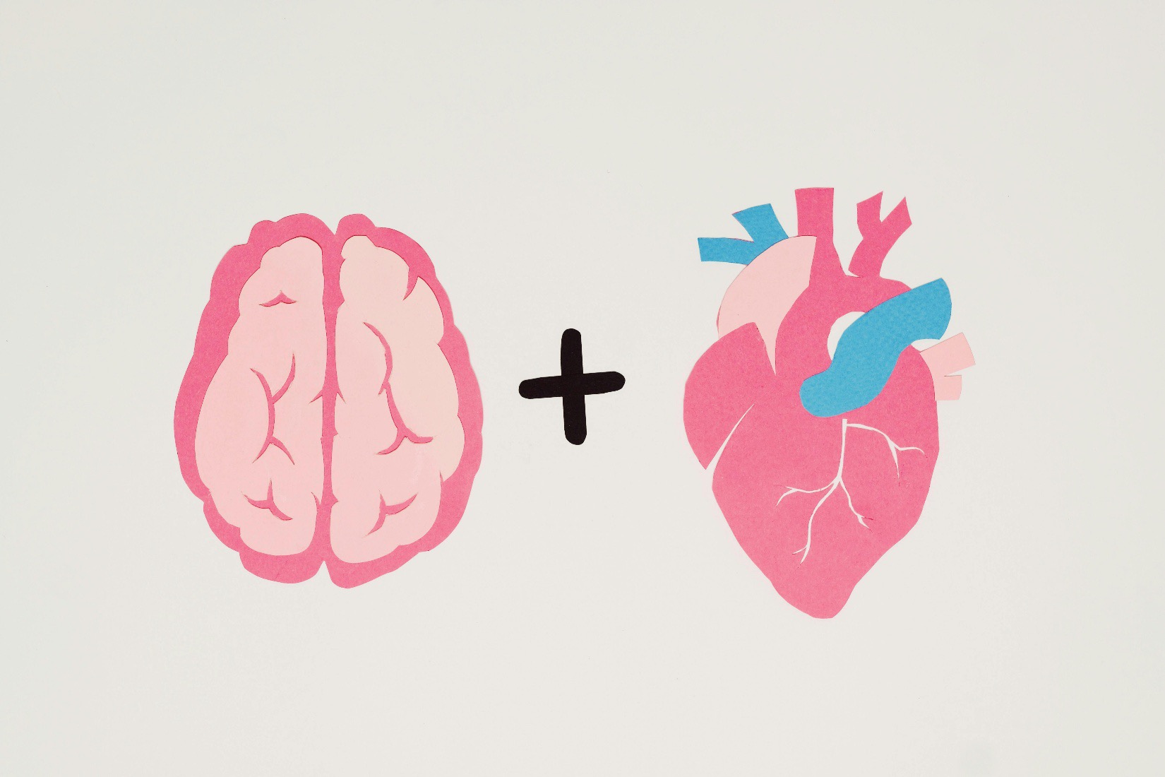 Lab Publication Featured in MGB Newsroom, EurekAlert! and other platforms for Linking Pulse Rate Measure to Cognitive Decline in Older Adults
